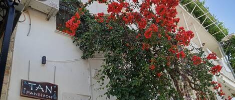 Façade de l’hébergement