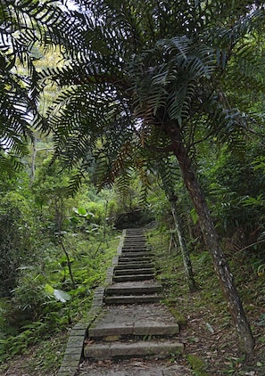 Property grounds - Sun Moon Lake Teachers' Hostel (Yuchi)