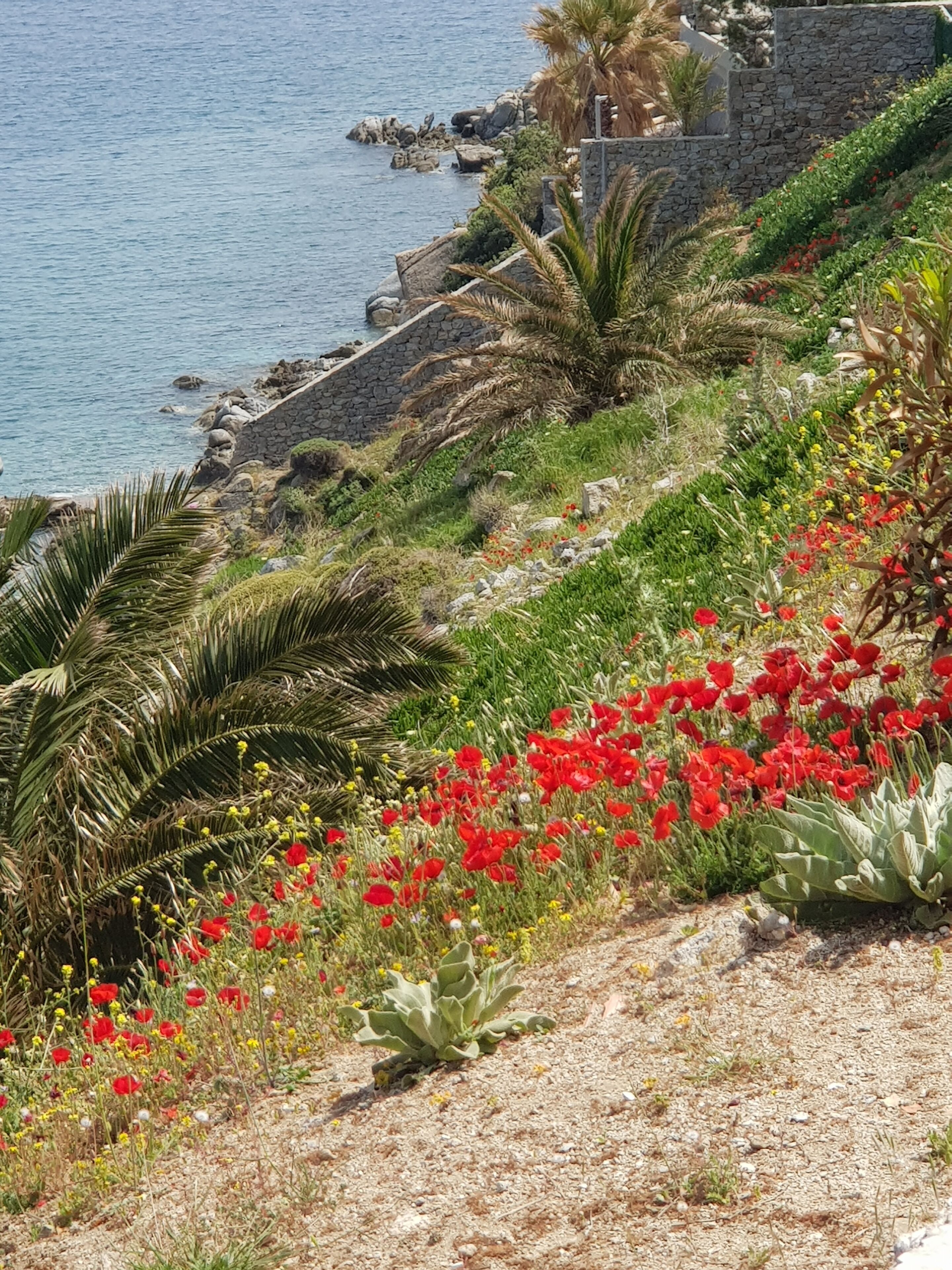 Foto - Mykonos Azure