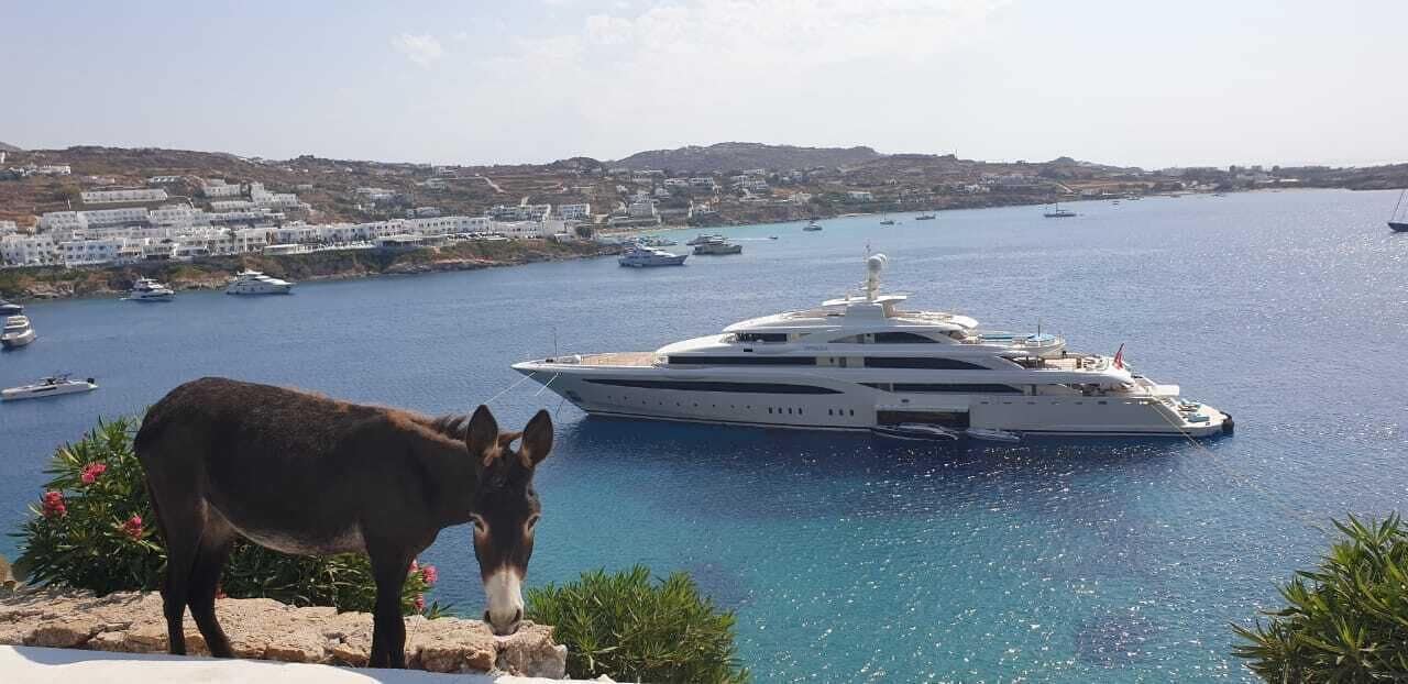 Foto - Mykonos Azure