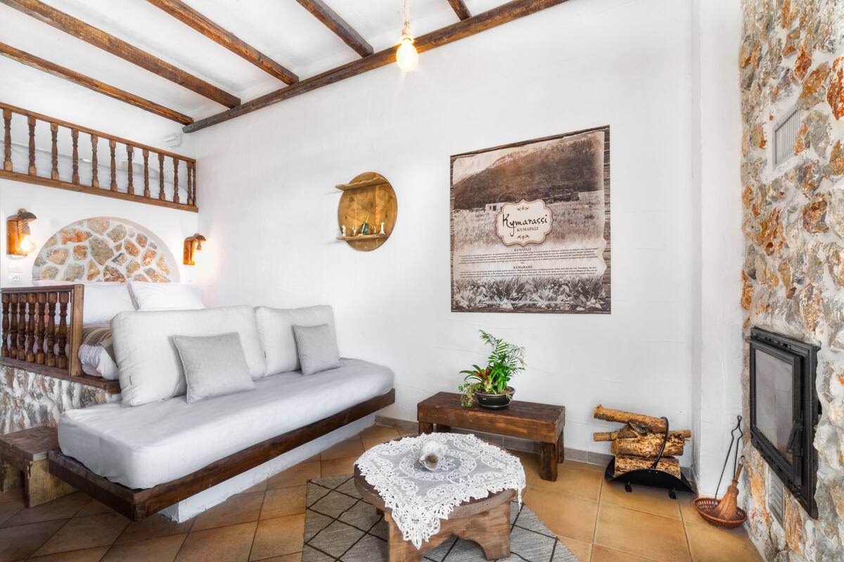 Ein gemütliches Wohnzimmer mit einer Couch, einem kleinen Holztisch mit einer Pflanze, einer Wanddekoration und einem Kamin.