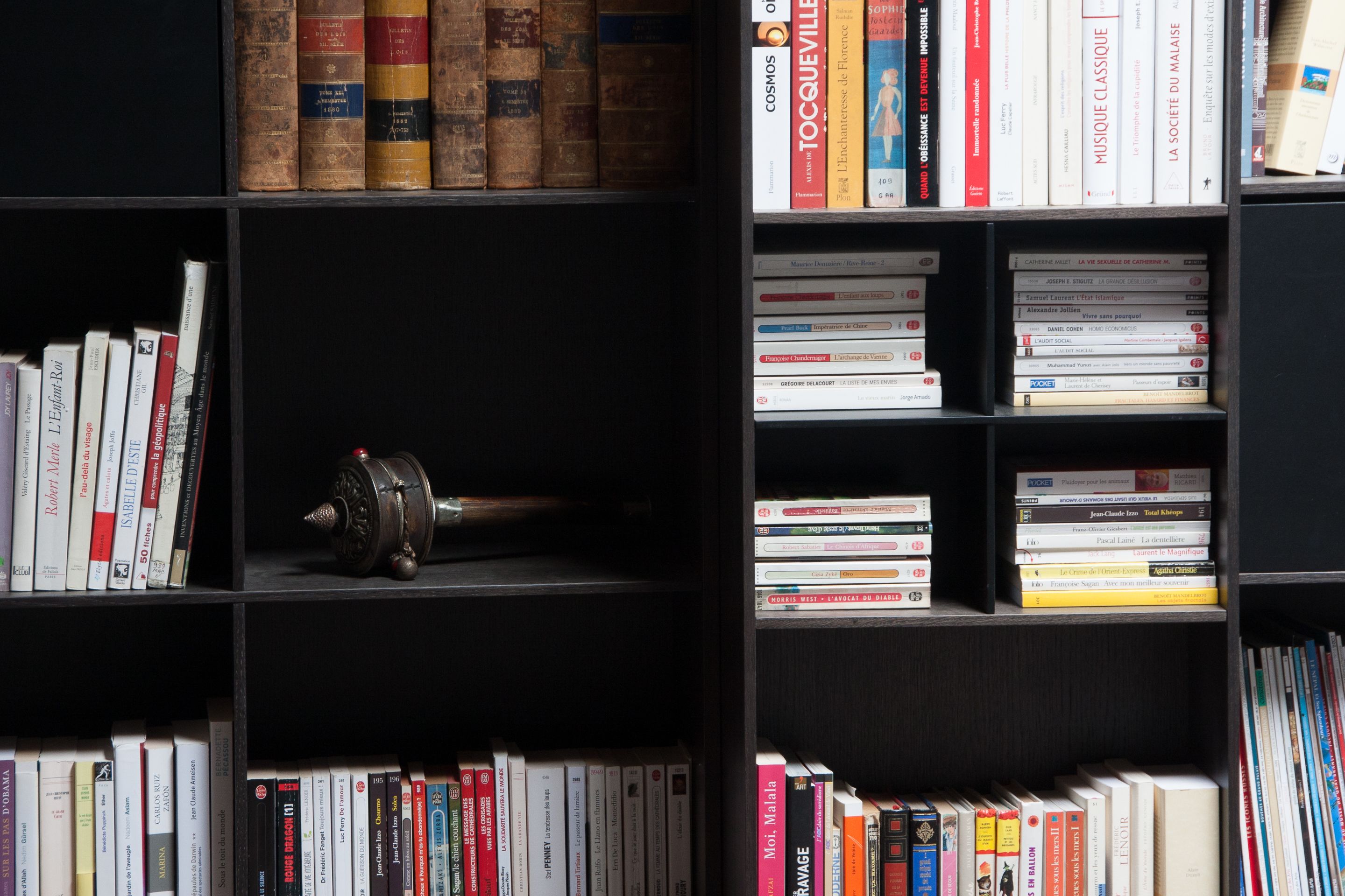Ein Bücherregal mit verschiedenen Büchern und einem dekorativen Gegenstand.