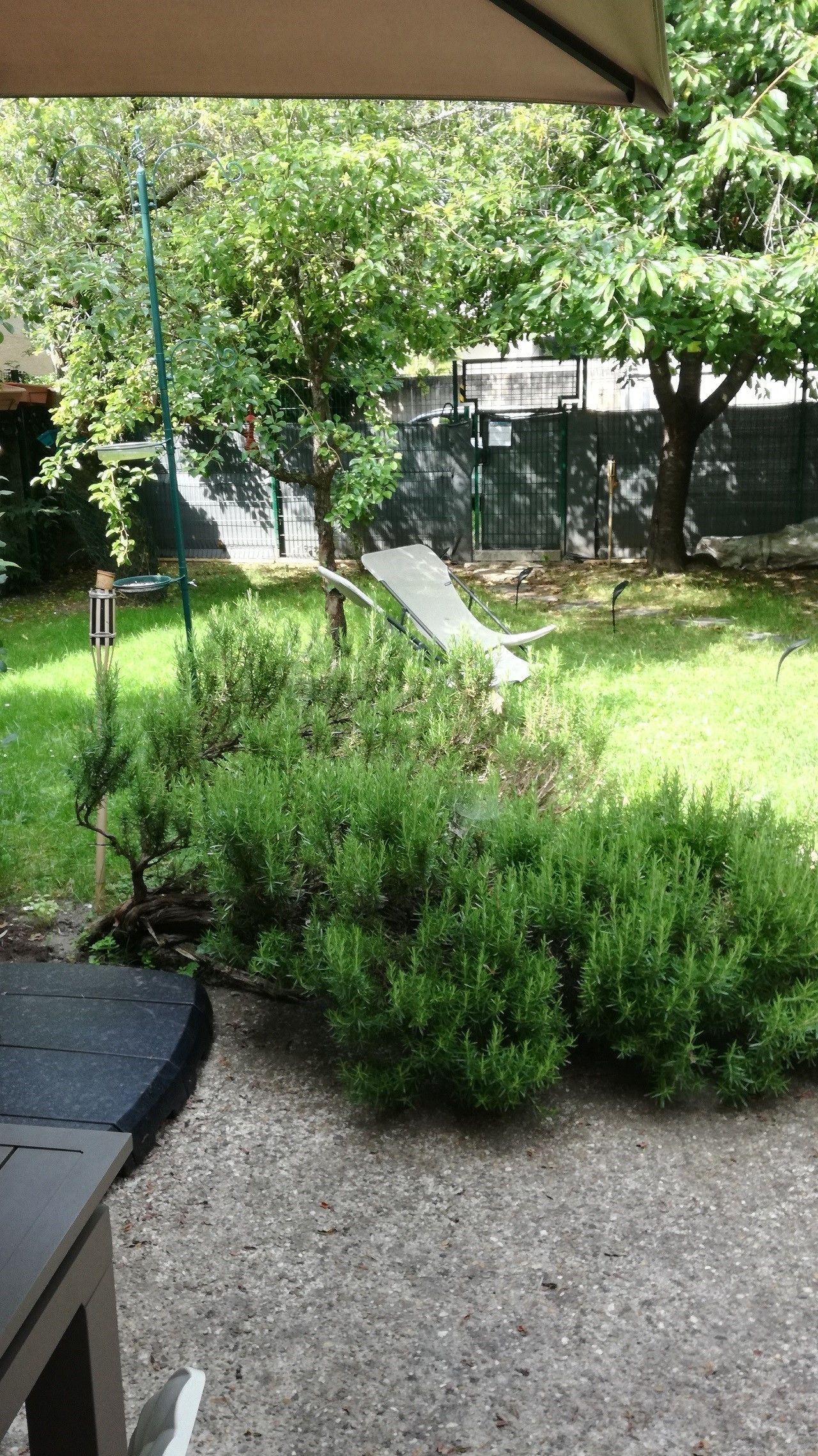 Tuin