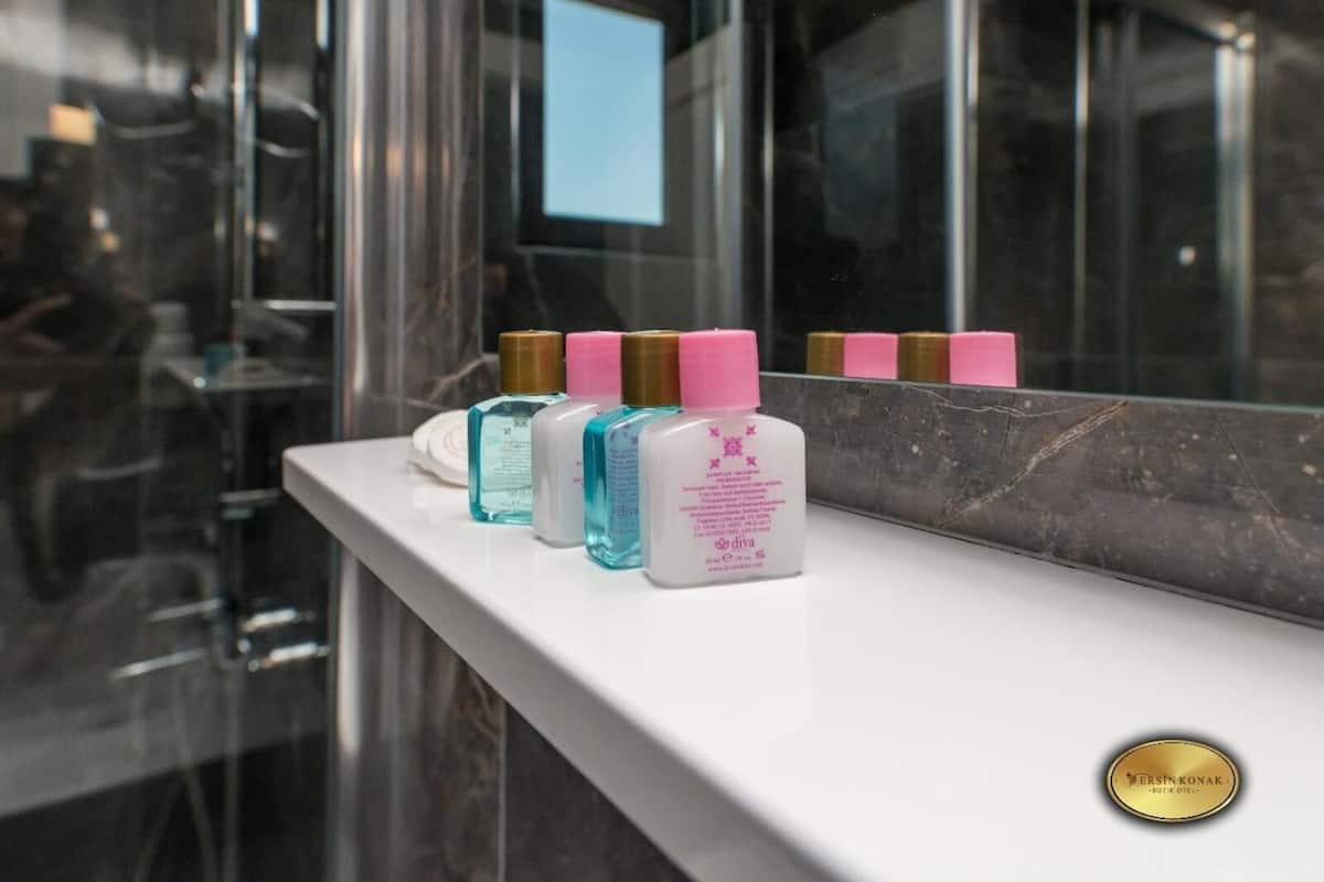 shower, free toiletries, hair dryer, slippers