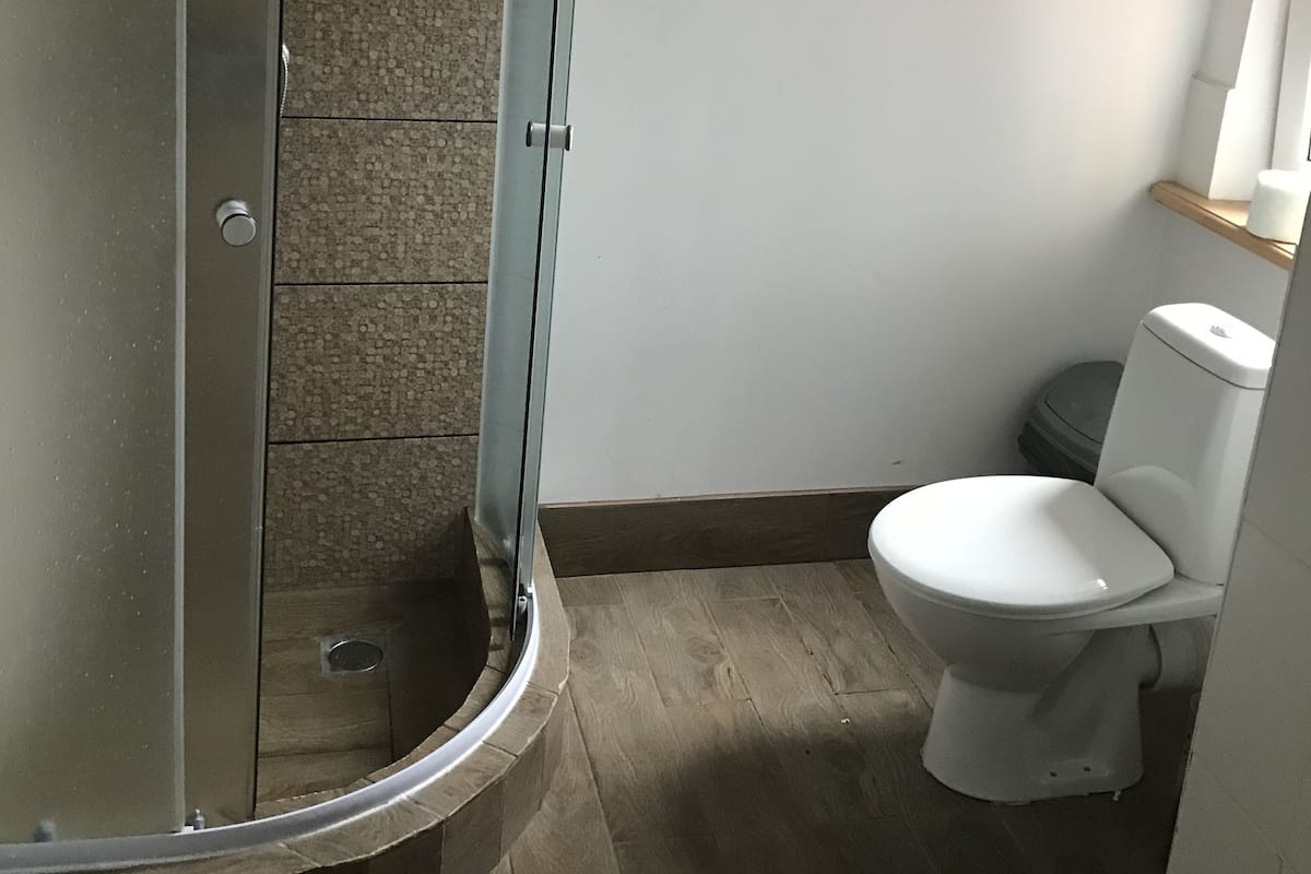 Ein Badezimmer mit Duschkabine, Toilette und Holzboden.