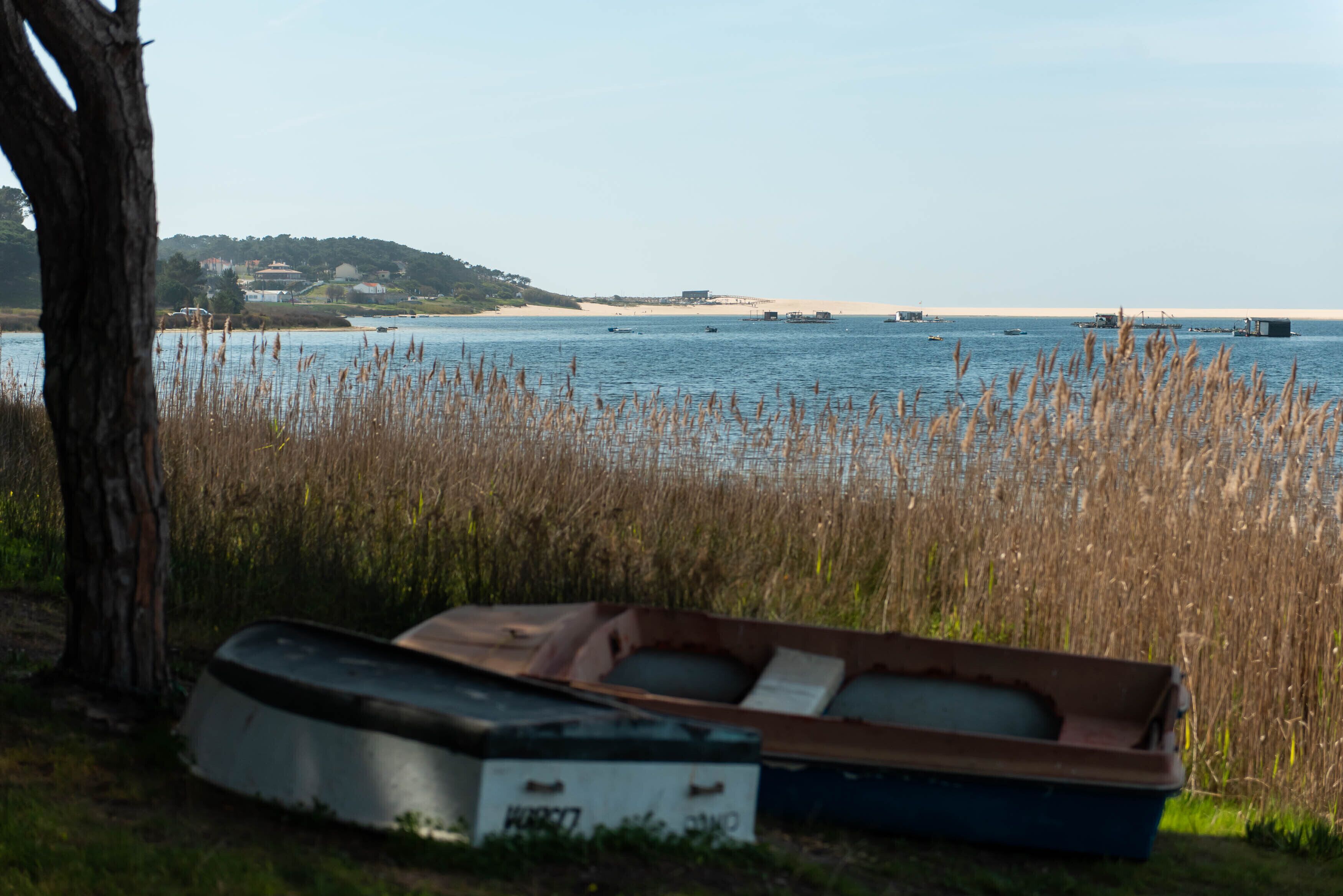 Photo - LV Premier Meco/Lagoa LA1