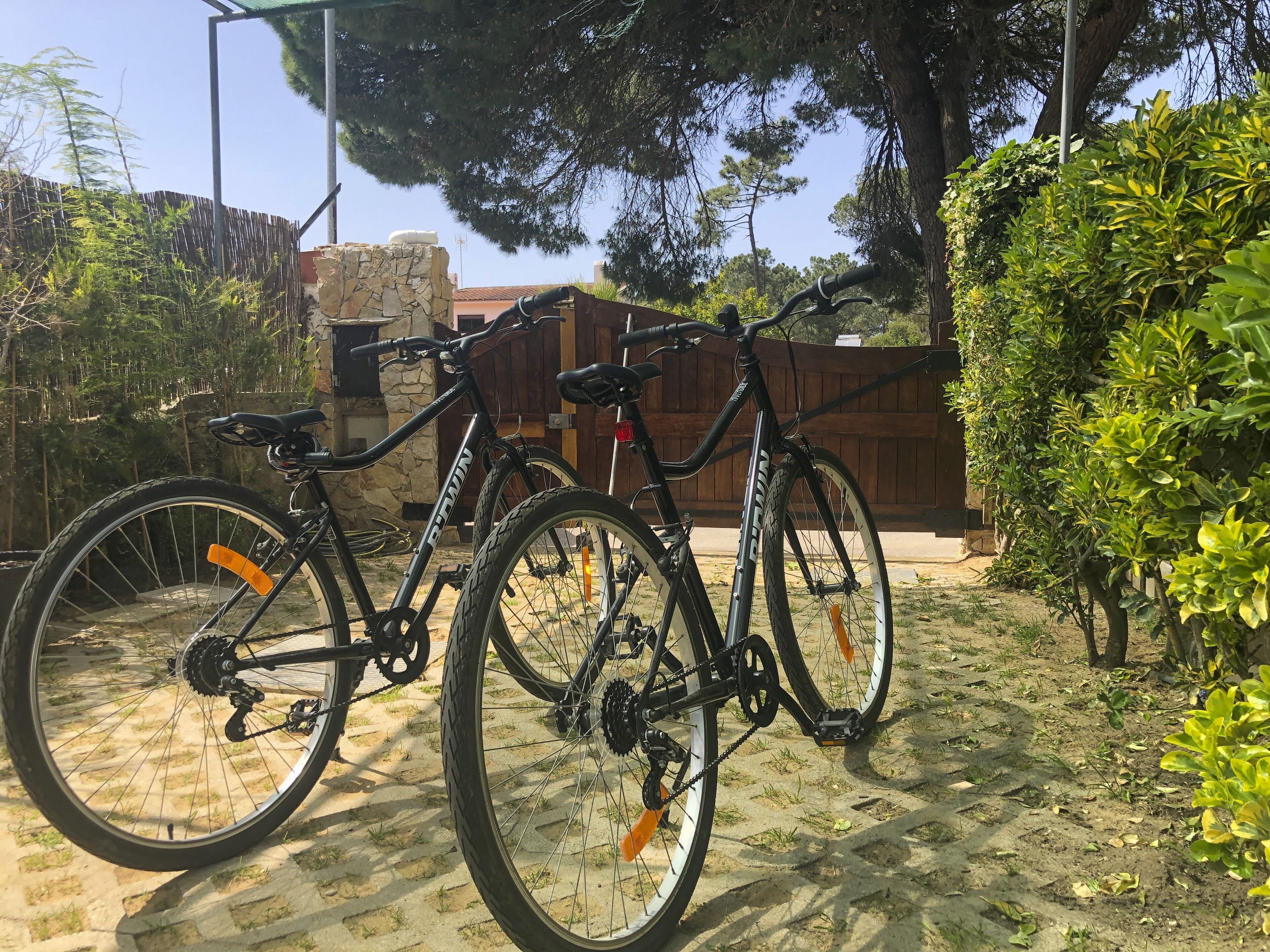 Photo - LV Premier Meco/Lagoa LA1