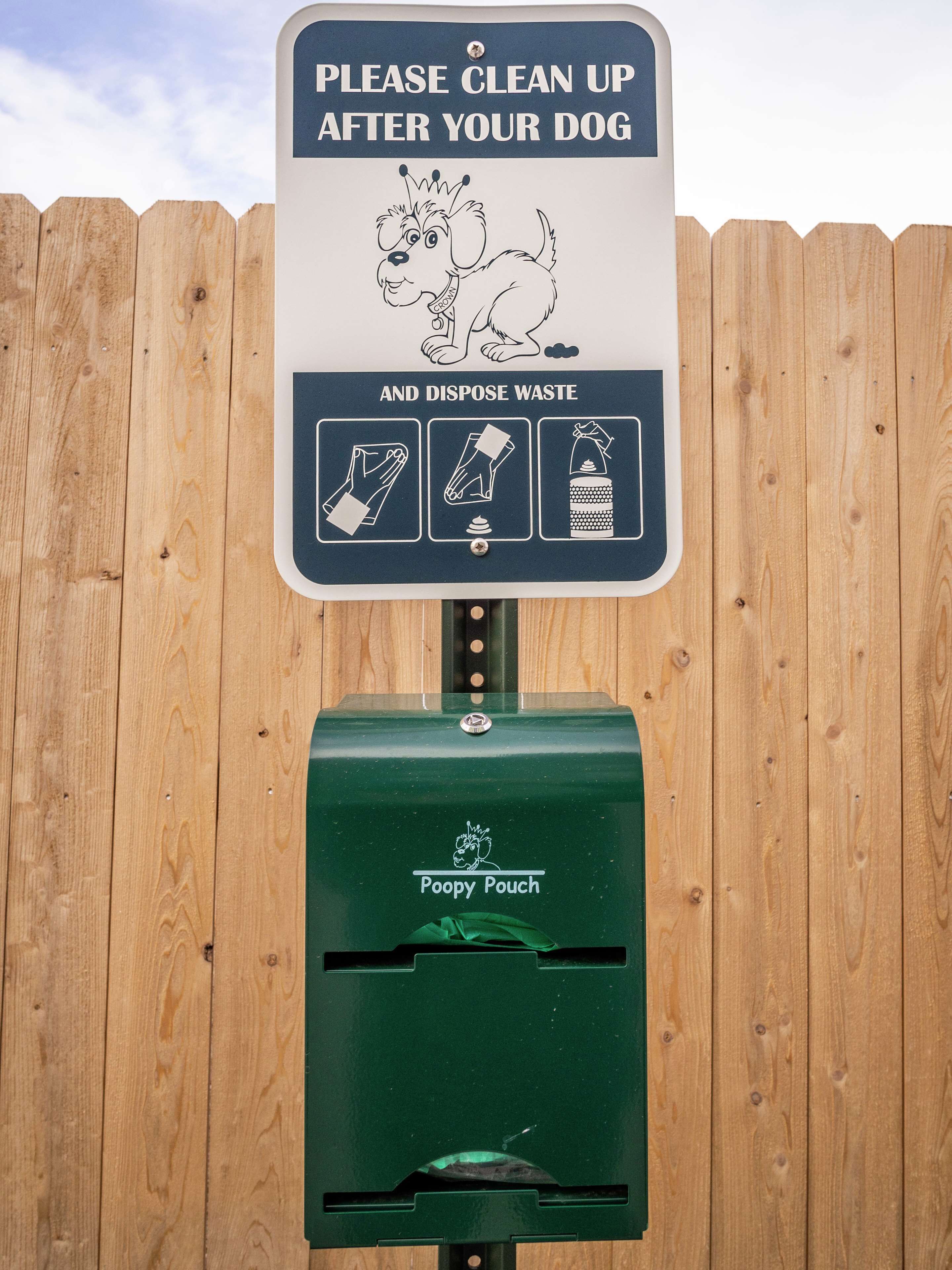 pet-friendly amenities