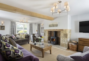 Télévision, cheminée, lecteur de DVD