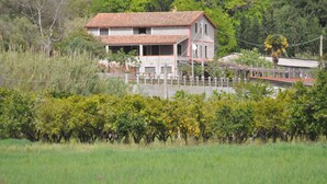 A two-story house with a red-tiled roof, surrounded by greenery and a fenced yard. - I Cedri (Orsomarso)