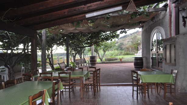 An outdoor patio with wooden tables and chairs, covered by a wooden roof with hanging vines. - I Cedri (Orsomarso)