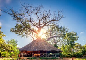 Property grounds - Selous Butembo Tented Lodge Lotus (Selous Game Reserve)