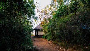 Wandern