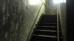 Eine Treppe mit abgenutzten Wänden und einem Metallgeländer, die nach oben führt.