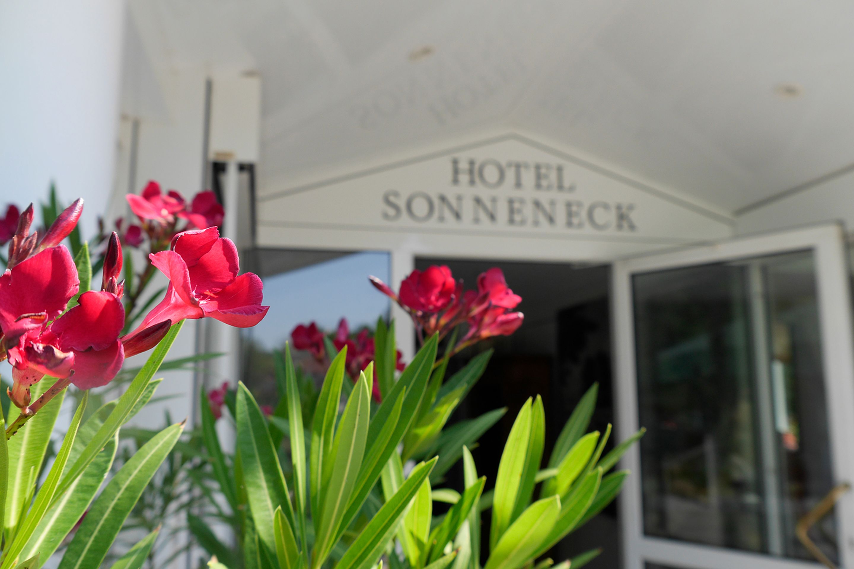 A hotel entrance with a sign reading "HOTEL SONNENECK."