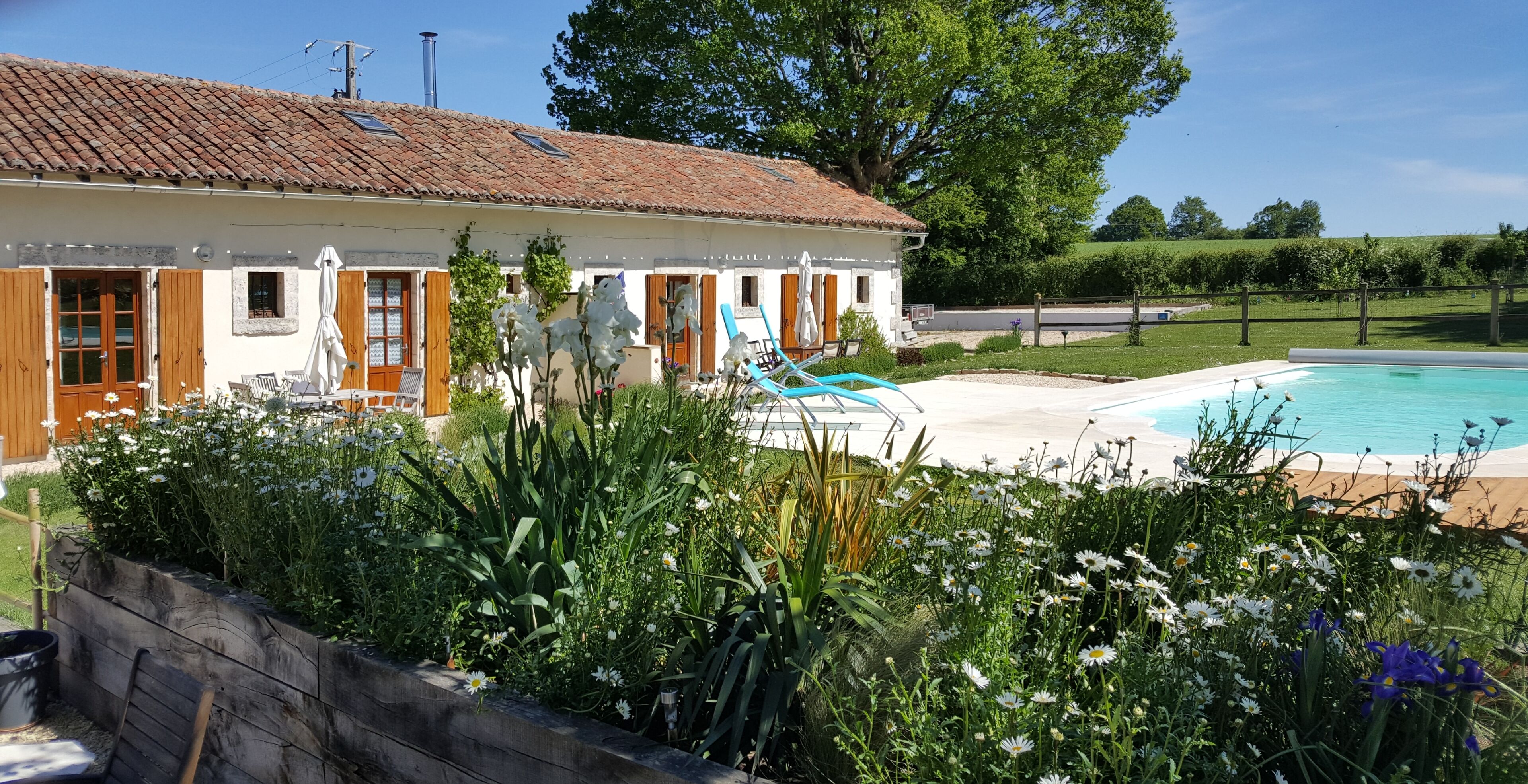 A house with a tiled roof, a swimming pool, and a garden with various plants and flowers.
