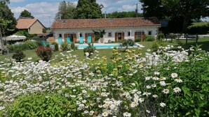 Een villa met pannendak, zwembad en een tuin met witte margrieten.