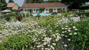 Chi tiết ngoại thất