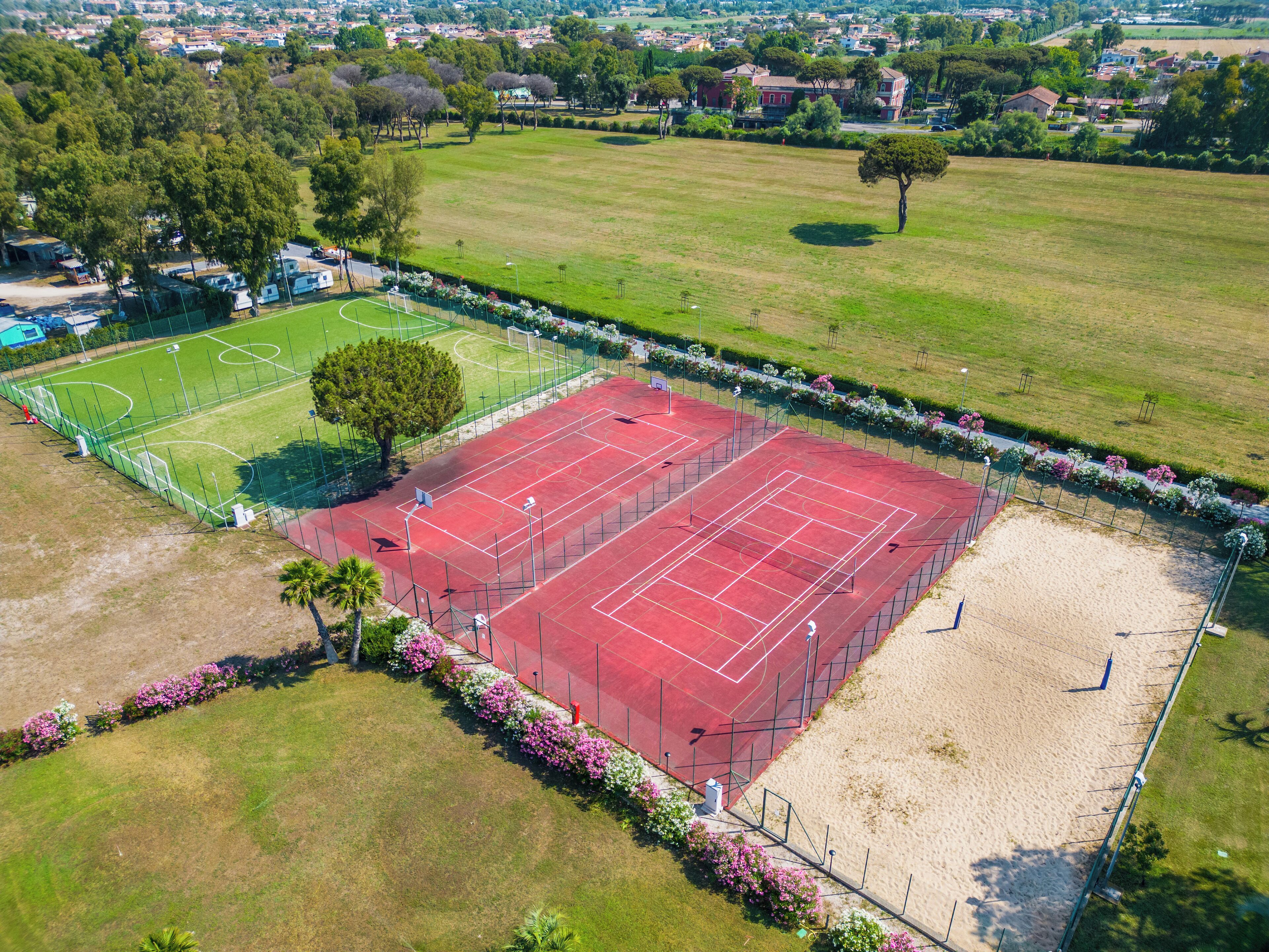Cancha de básquetbol