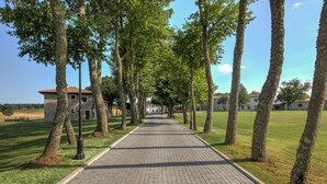 Un sentier pavé bordé d’arbres et, au fond, un bâtiment en pierre.