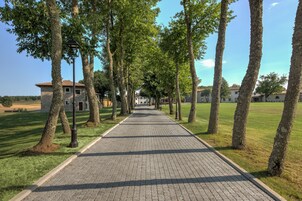 Un sendero pavimentado bordeado de árboles y un edificio de piedra al fondo.