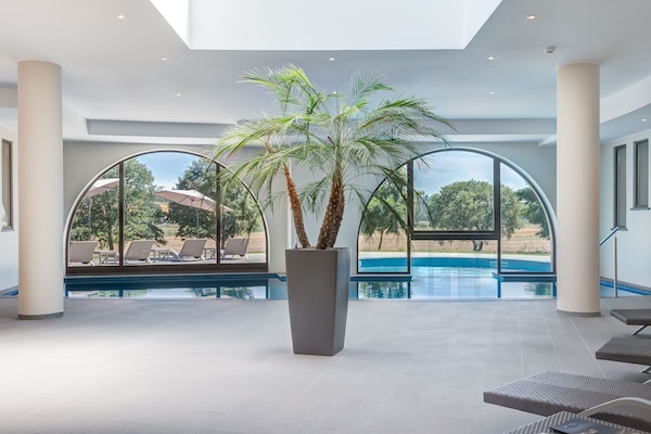 Indoor pool, sun loungers