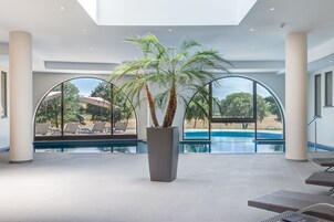Un área de piscina interior moderna con una palmera en maceta grande, sillas de descanso y vistas a una piscina exterior y jardines.