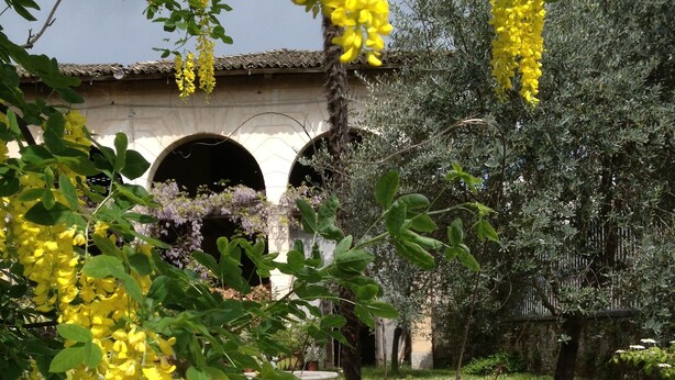 Un jardin avec des plantes à fleurs jaunes et un pont de pierre en arrière-plan.