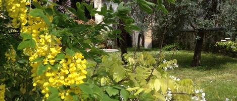 Áreas de la propiedad