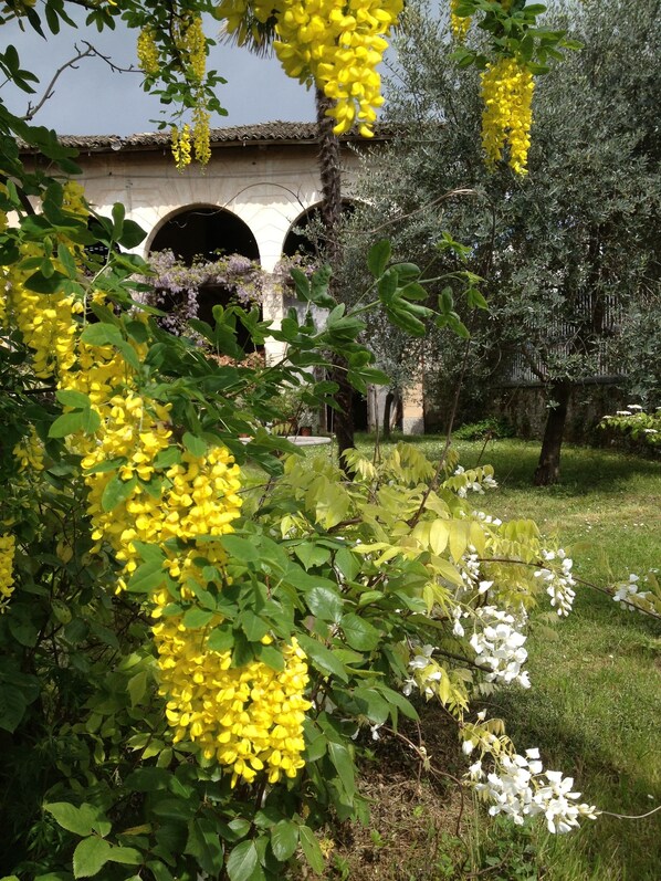 Khuôn viên nơi lưu trú