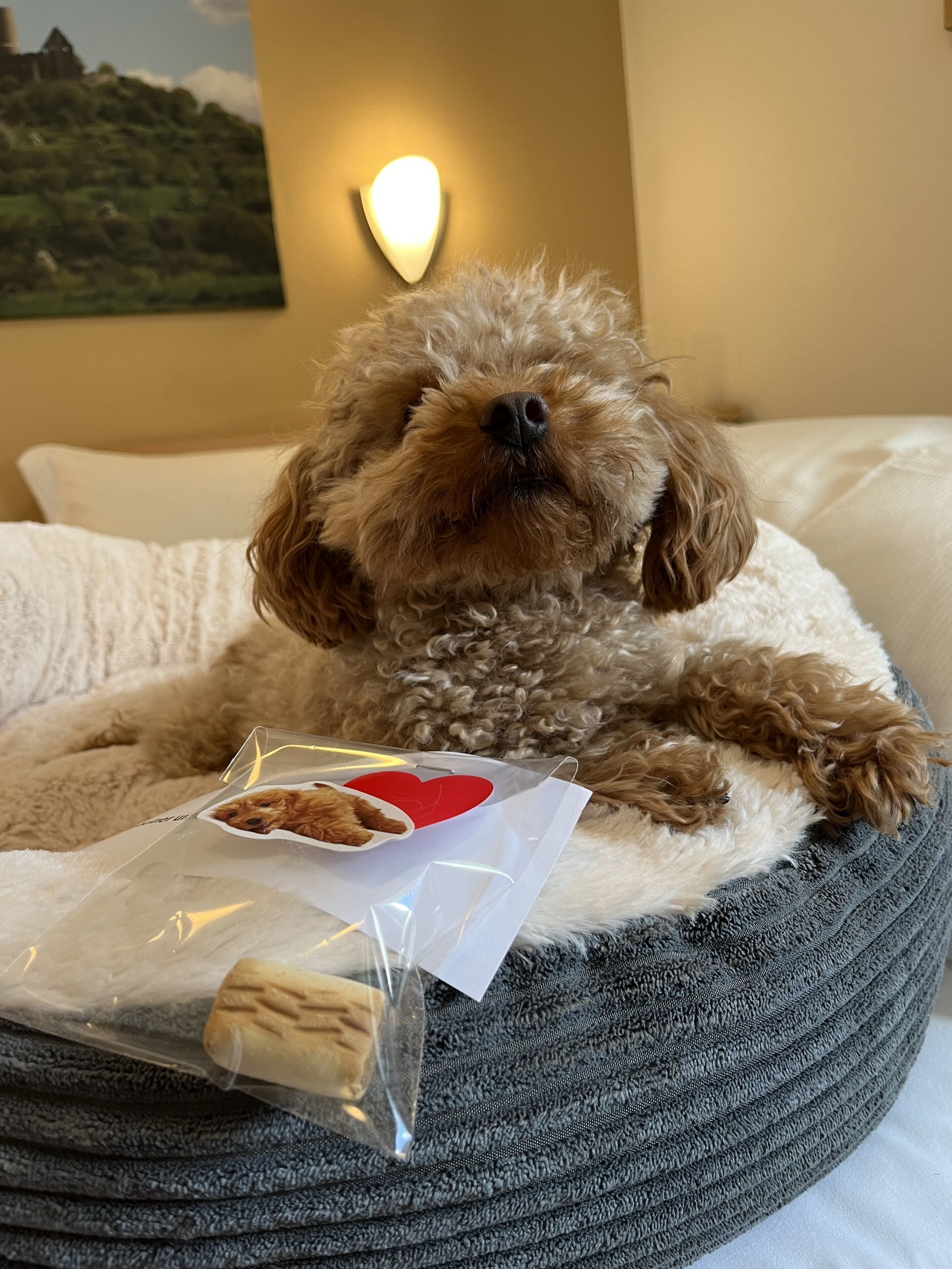 desk, blackout curtains, rollaway beds, free wifi