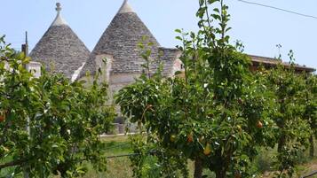 Trullo