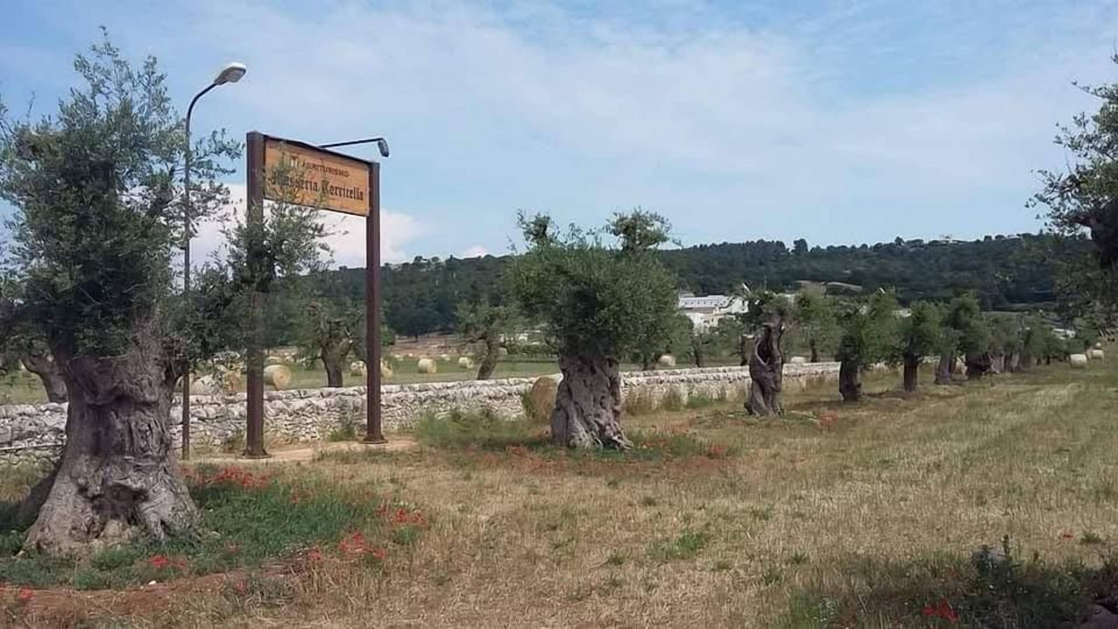 A signpost in a rural setting with trees and a stone wall in the background.