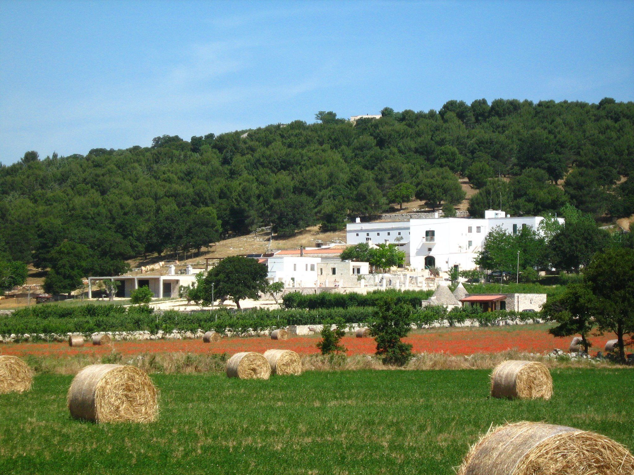 A rural landscape with a white building surrounded by greenery and hay bales.