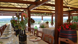 Une longue table à manger, dressée pour un repas, avec des chaises, des vases remplis de fleurs et une vue sur la campagne.