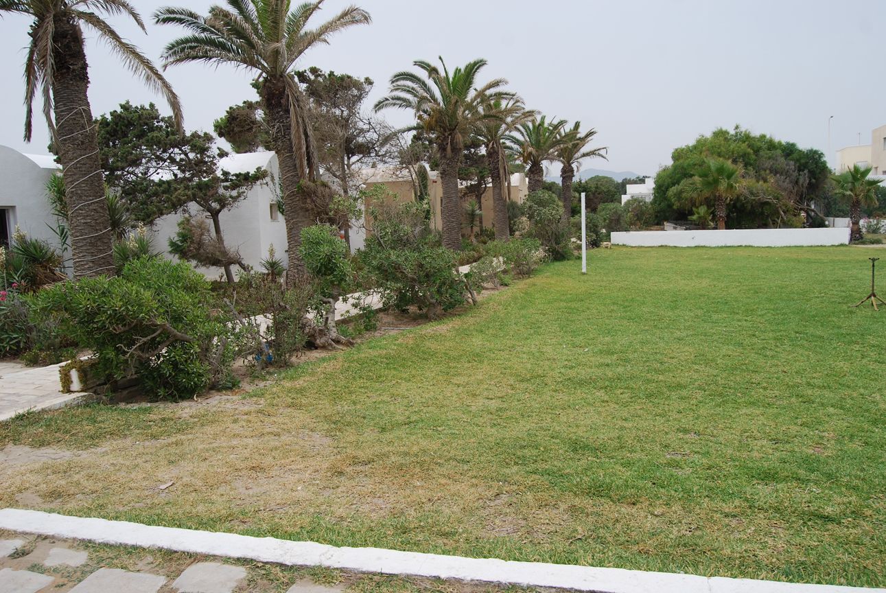 A grassy area with palm trees and a white building.