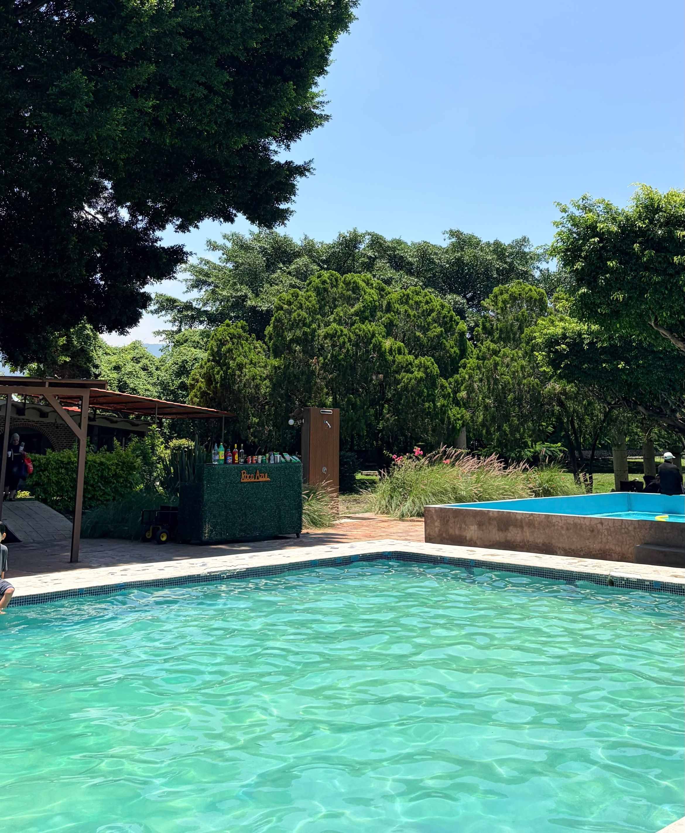 Una piscina con agua cristalina, rodeada de exuberante vegetación y árboles.