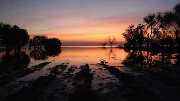 Un atardecer sobre un lago tranquilo, con árboles silueteados contra el cielo.