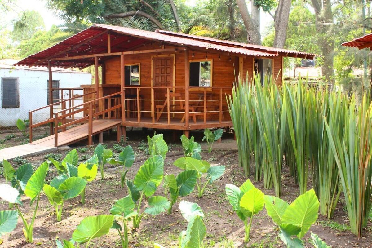 A wooden cabin with a porch and a small staircase, surrounded by lush vegetation and a fenced area.