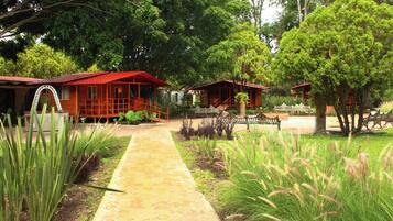 Habitación estándar | Vista desde la habitación