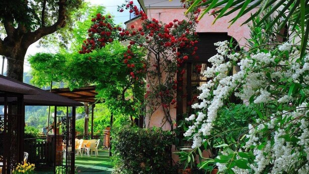 A garden patio with a pergola, potted plants, and a seating area. - Bed & Breakfast Ristorante Belvedere (Subiaco)