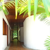 Un pasillo con paredes blancas y vigas de madera en el techo, que conduce a un jardín.