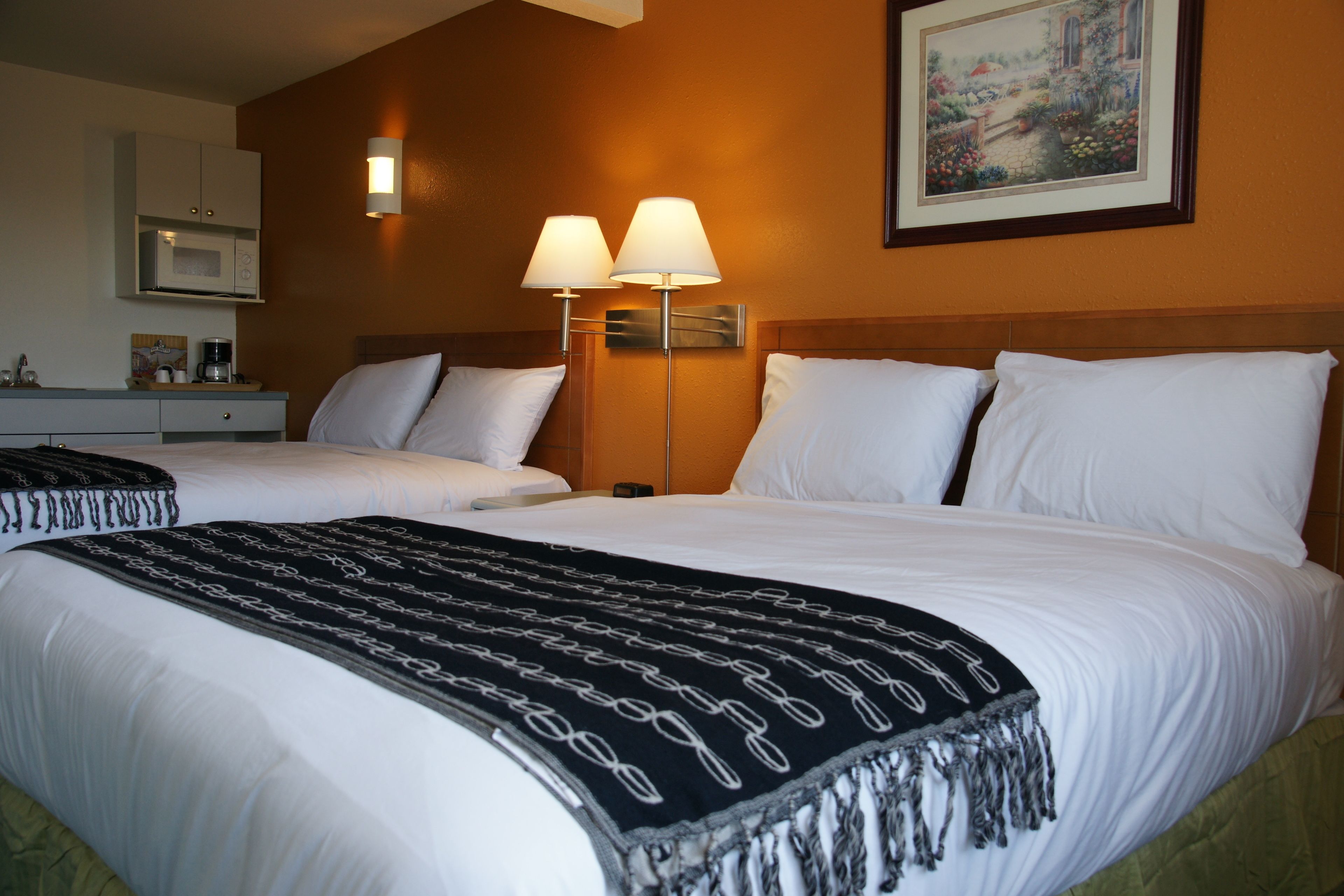 1 camera, una scrivania, tende oscuranti, ferro/asse da stiro