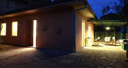 House / Villa - Castiglione della Pescaia