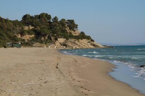 Playa en los alrededores 