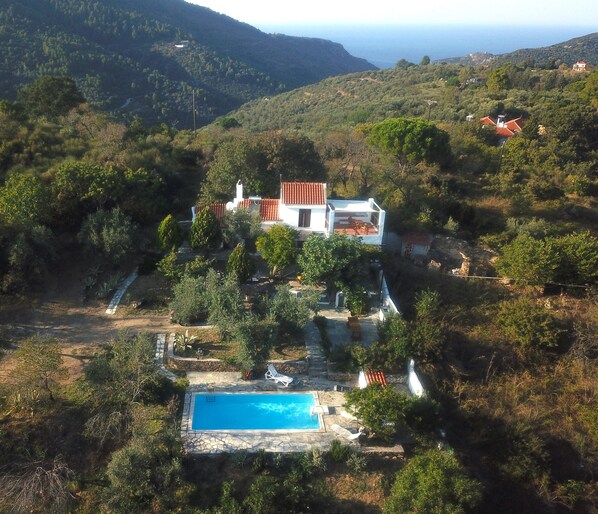 Una villa con piscina rodeada de abundante vegetación y colinas.