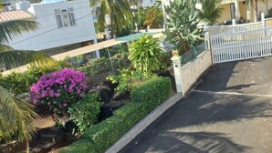 Rua residencial com portão fechado, palmeiras e um jardim bem cuidado com flores roxas.