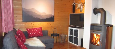 Una televisión, una chimenea, un reproductor de DVD