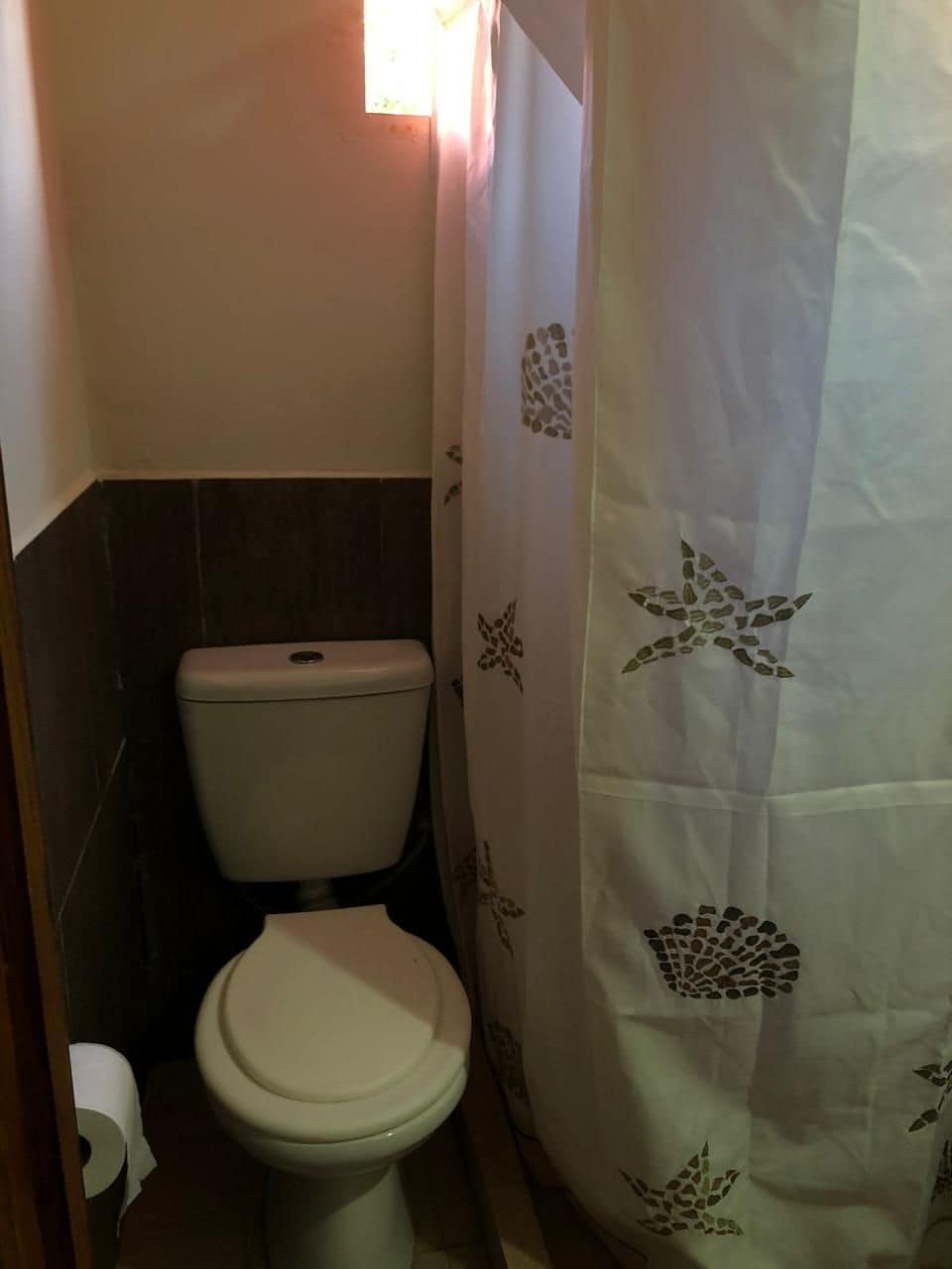 A small bathroom with a toilet, a roll of toilet paper, and a shower curtain with a leaf pattern.