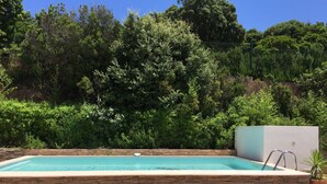 A swimming pool with a stone border, surrounded by lush greenery and trees. - Bedroom ADVENTURE Villa AMALIA (PORTICCIO)